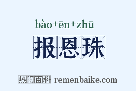 报恩珠是什么意思的图片
